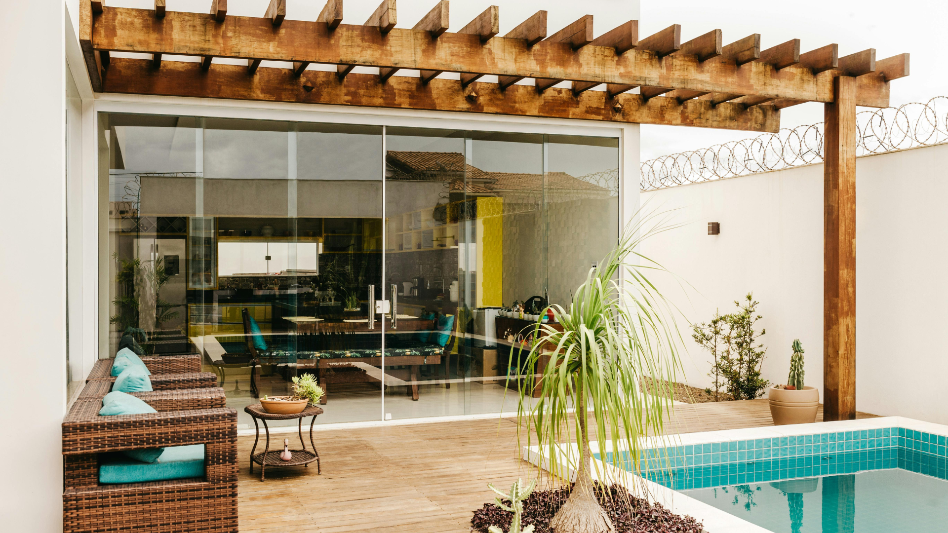 Person holding a green plant seedling